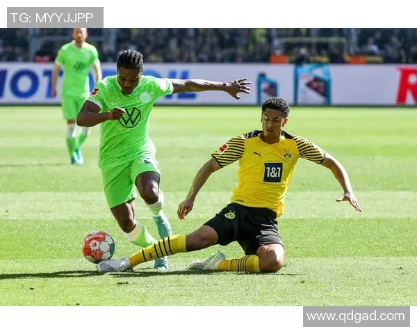 维特足球明星最新阵容揭晓球迷期待新赛季精彩表现