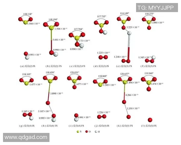 西安篮球队技术分析与战术创新的深度探讨与展望