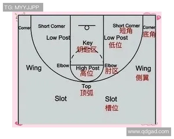 西安篮球队的战术解析与球队控制力的深度探讨